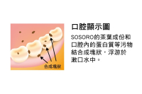 Sosoro Teeth Diagram